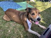 Walter 0560
