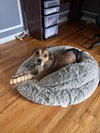 Walter 0560