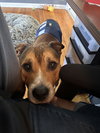 Walter 0560