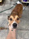 Walter 0560
