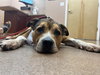 Walter 0560