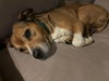 Walter 0573