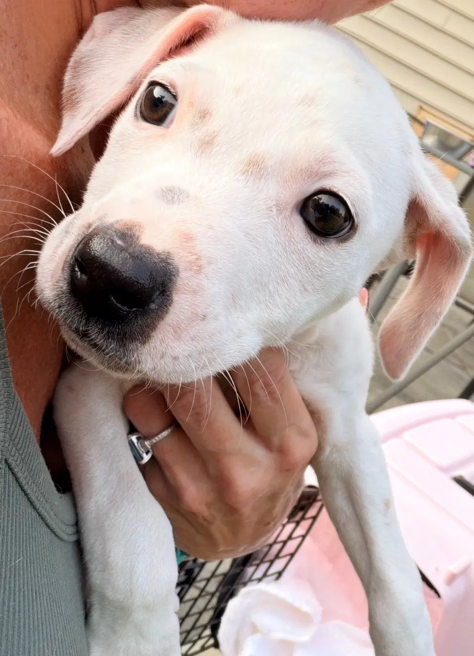 Casper image 3