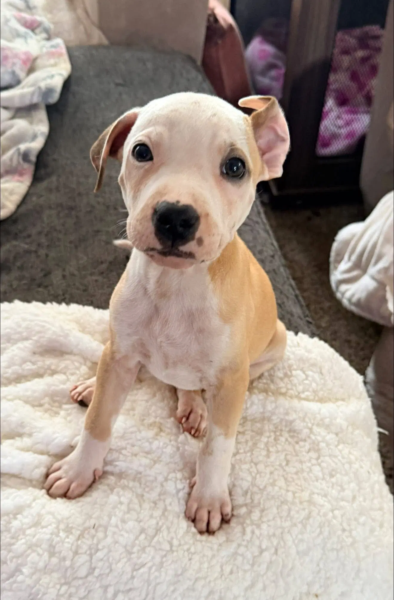Casper image 2