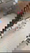 Lowki -