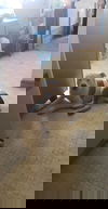 Lowki -