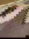 SONA -