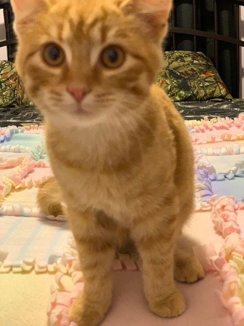 Copper