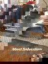 Sebastian - SPONSORED!