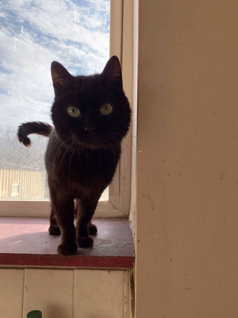Luna