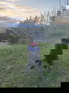 Sheroo