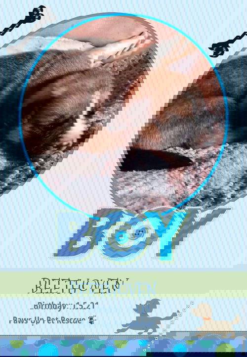 Beethoven