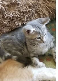 Duncan