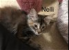 Nelli and Oreo Bonded!