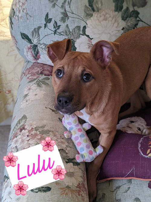 Louise aka LuLu