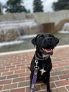 Georgia - Photo 1