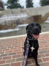 Georgia - Photo 3