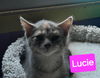 Lucie and Linus bonded