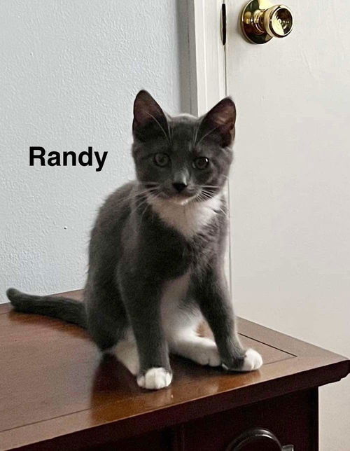 Randy