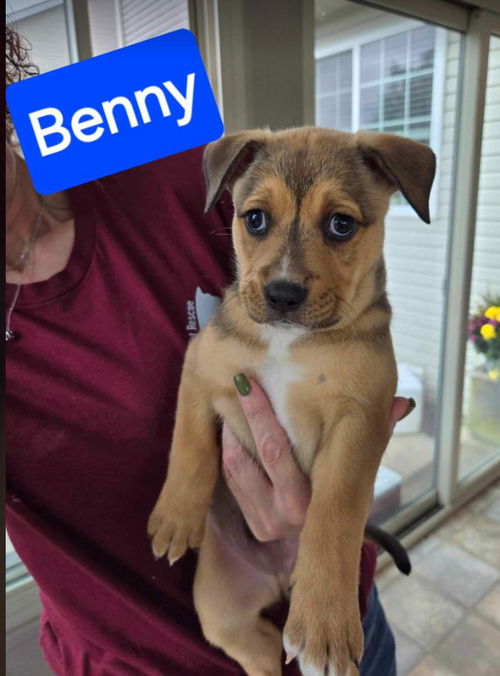 BENNY