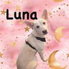 Luna - Coming Soon