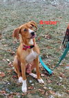 Amber - Candy Litter Mom
