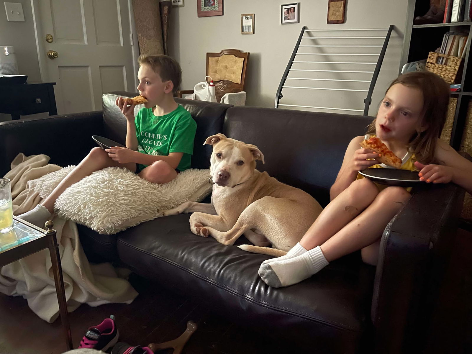 adoptable Dog in Sheboygan, WI named JR - COMING SOON!