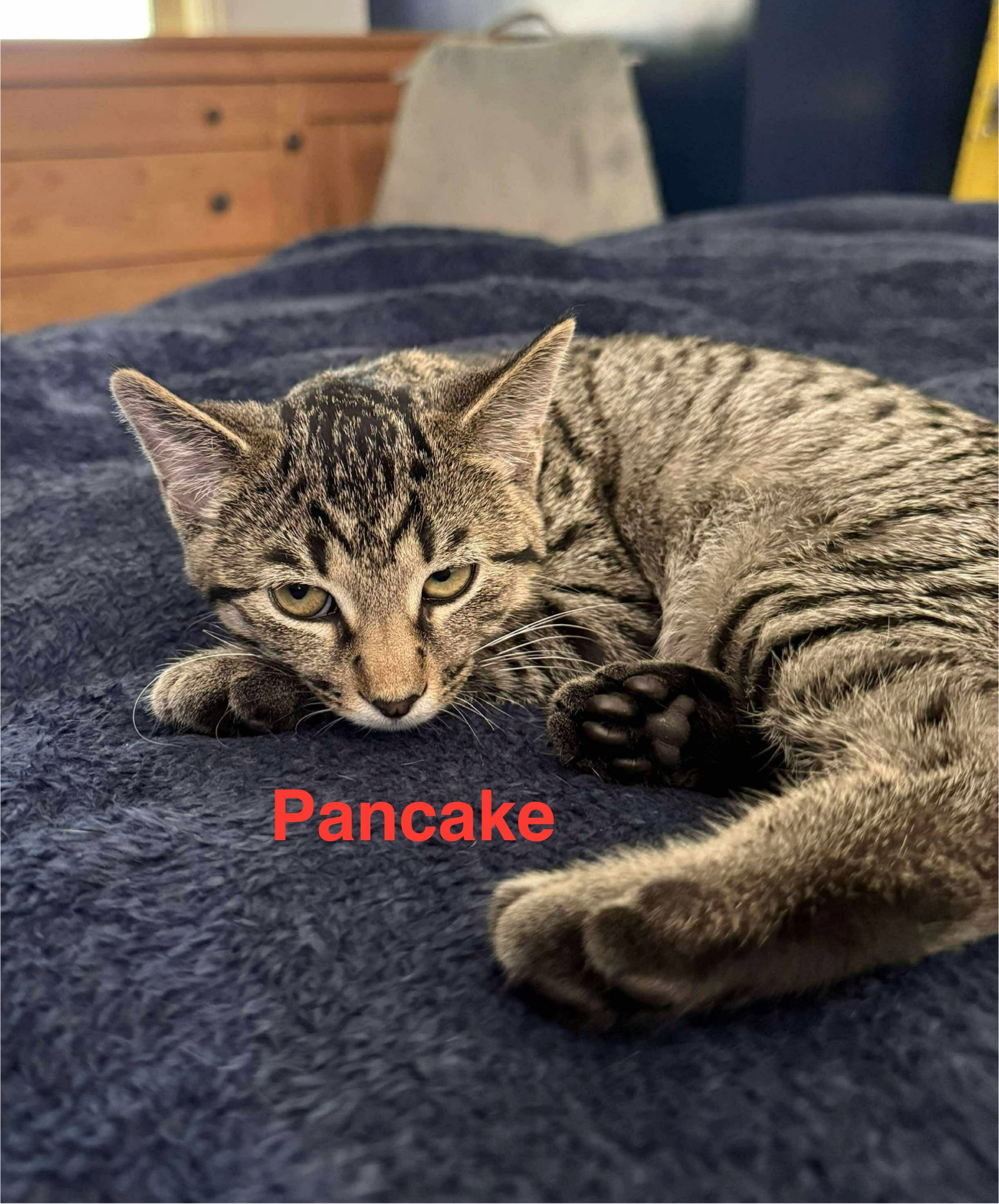 Pancake