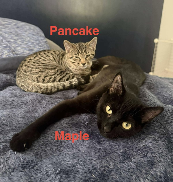 Pancake