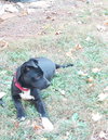 STOUT - Photo 3