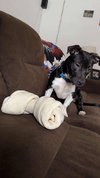 STOUT - Photo 4