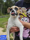 Bruce - Photo 3