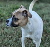 Bruce - Photo 4