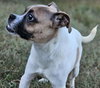 Bruce - Photo 6