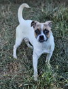 Bruce - Photo 7