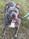 Grayson - Photo 2