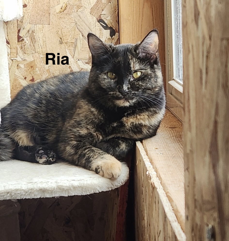 Ria