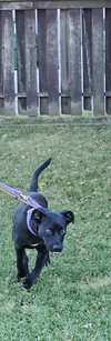 HANNAH - Photo 5