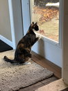 Franny - Photo 1
