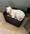 Cutie Katie - Photo 4