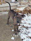 BAZOOKA - B LITTER - Photo 4