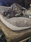 Chalupa - Photo 4