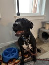 Lucy - Photo 5