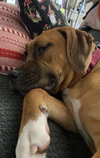 Honey - Photo 2
