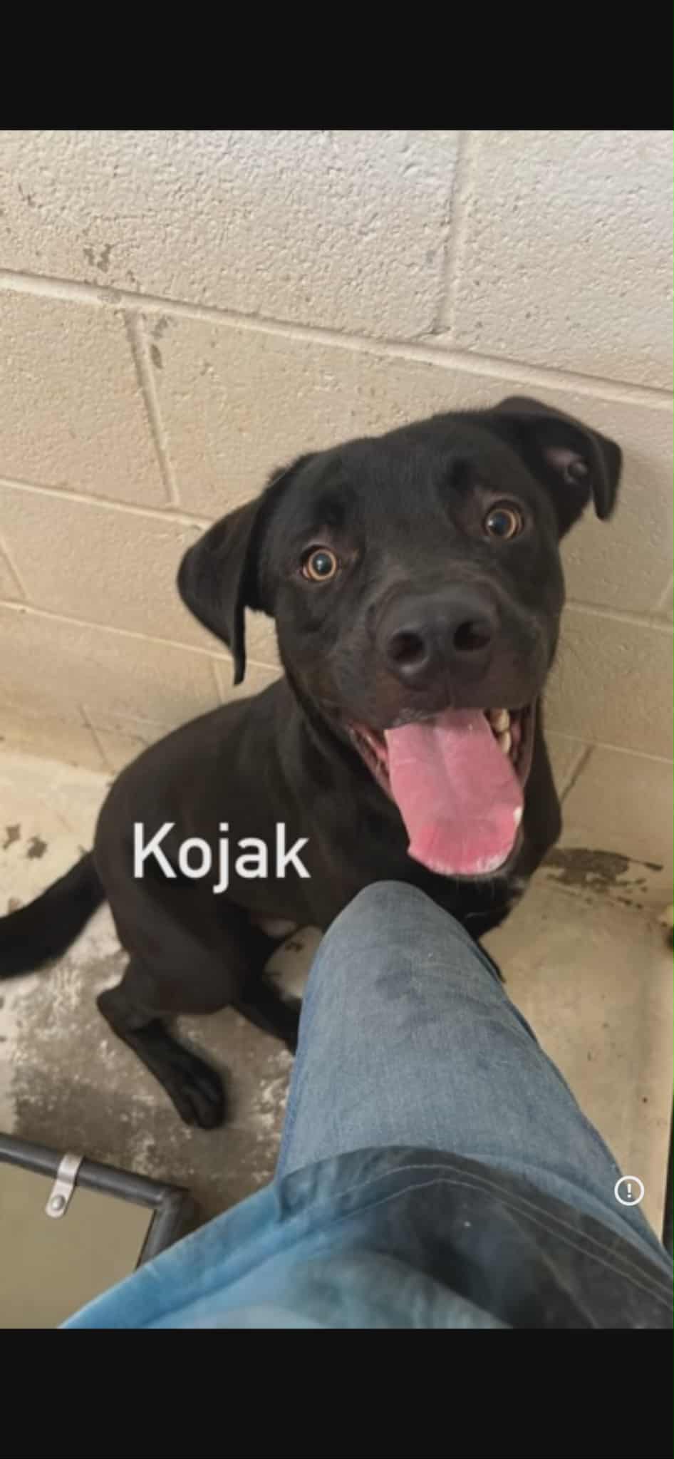Kojack - Coming Soon!