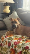 Rosie