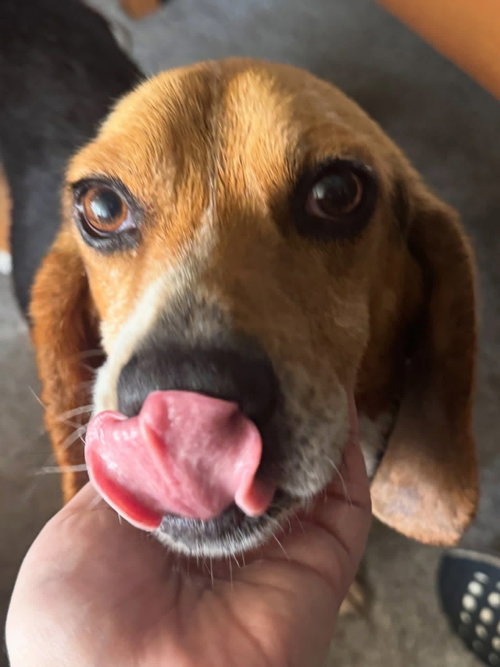 Charlie photo 3