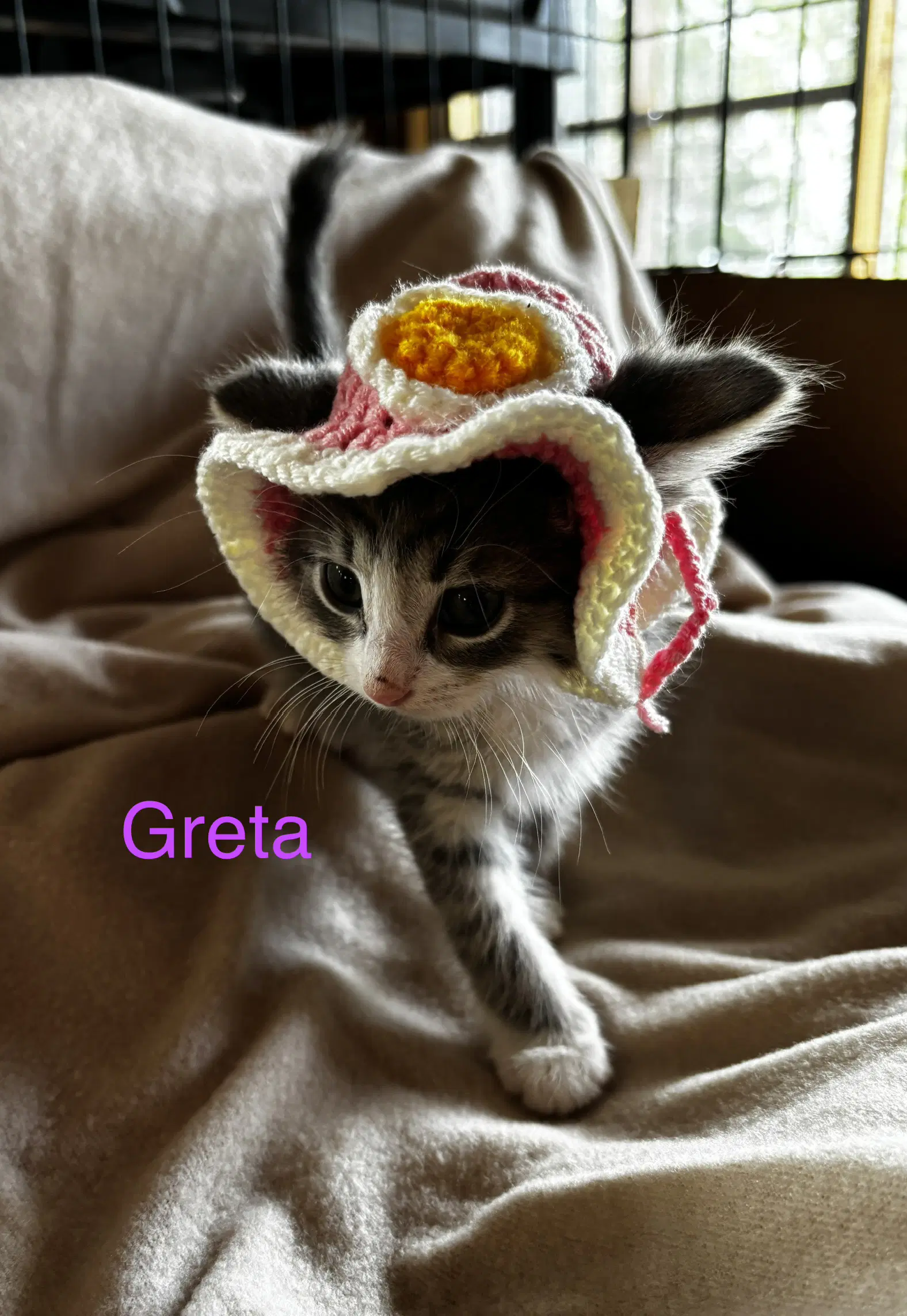 Greta image 2
