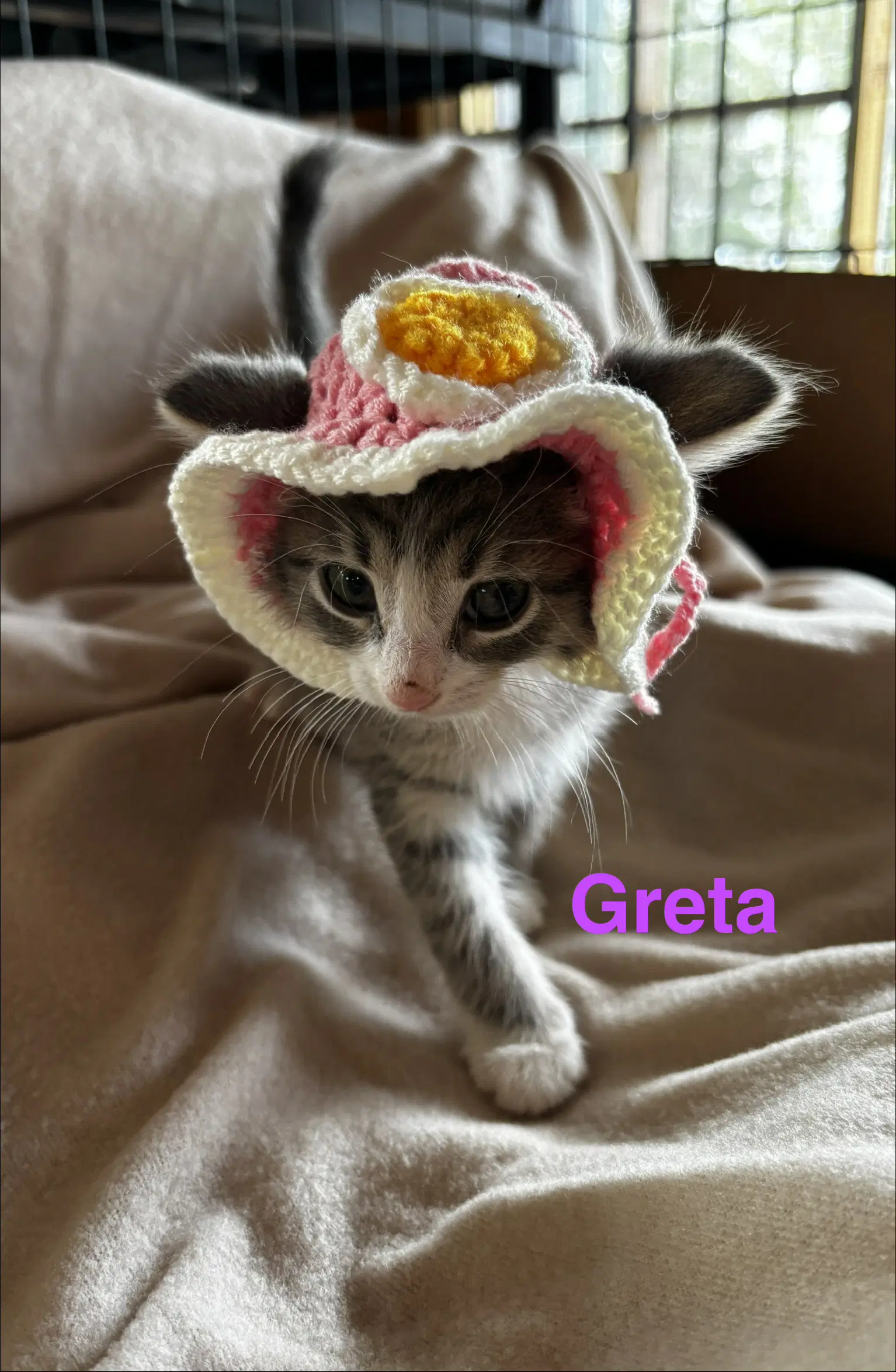 Greta image 3