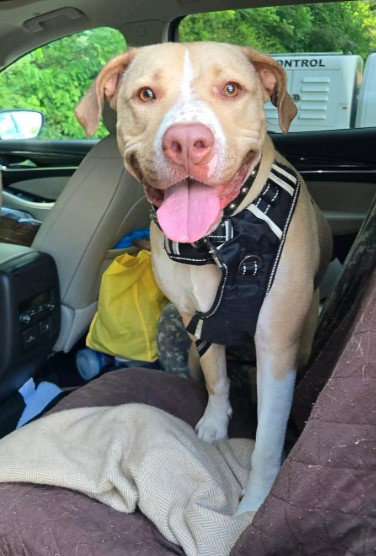 Photo 2 of JUNO